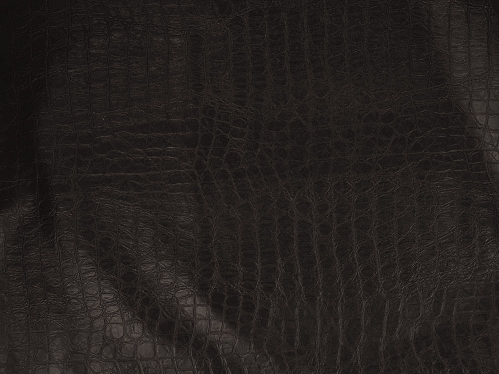 black crocodile texture