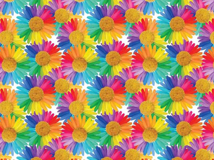 Rainbow Daisies Cotton Print