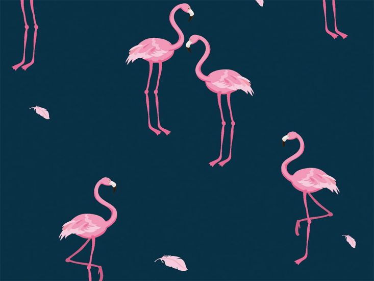 Waterproof Protect Coating, Flamingos