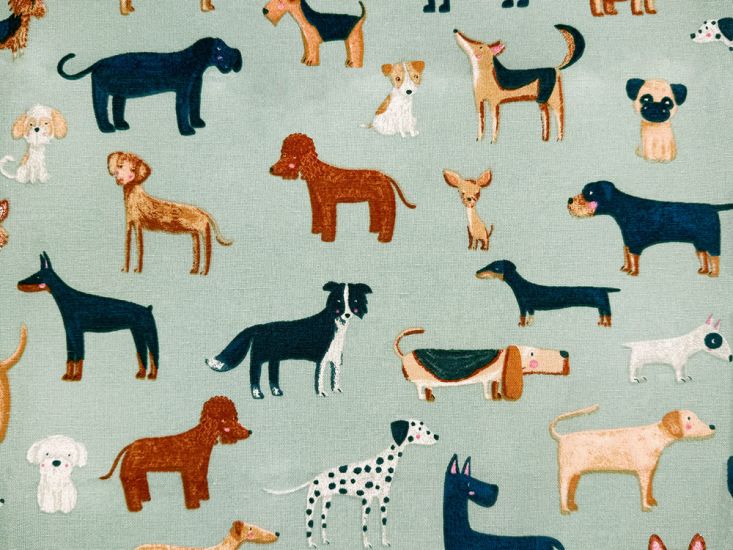 Woof Cotton Canvas, Duck Egg