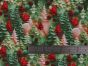 3D Fantasy Cotton Print, Christmas Trees