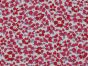 Petal Paradise Viscose Print, Red