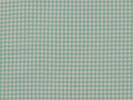 White/Dark Green Mini Gingham Classics Cotton (42-44 wide) - 745181505912